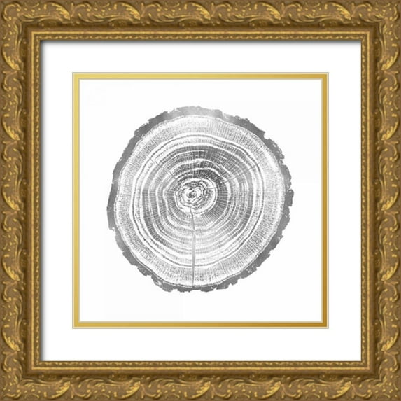 Carson, Danielle 15x15 Gold Ornate Wood Framed with Double Matting Museum Art Print Titled - Timber Silver II