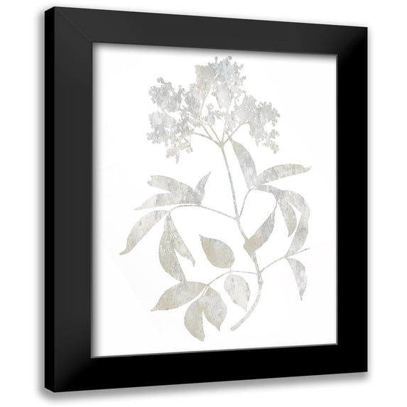 Carson, Danielle 15x18 Black Modern Framed Museum Art Print Titled - Natural Nature V