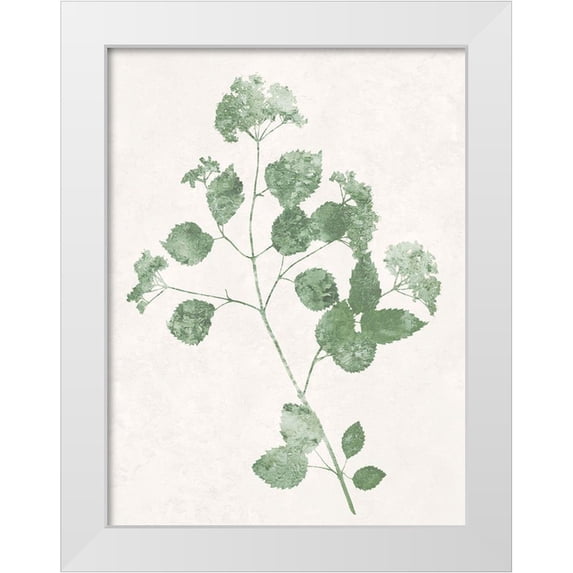 Carson, Danielle 15x18 White Modern Wood Framed Museum Art Print Titled - Nature Green VI