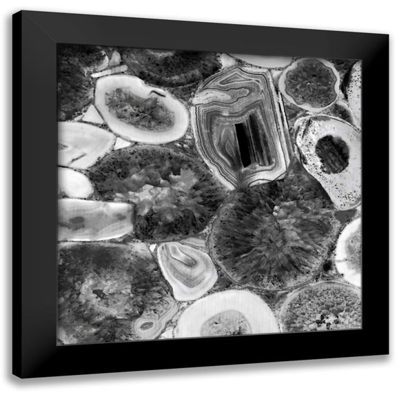 Carson, Danielle 20x20 Black Modern Framed Museum Art Print Titled - Agate in Grey I