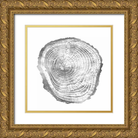 Carson, Danielle 20x20 Gold Ornate Wood Framed with Double Matting Museum Art Print Titled - Timber Silver III