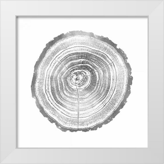 Carson, Danielle 20x20 White Modern Wood Framed Museum Art Print Titled - Timber Silver II