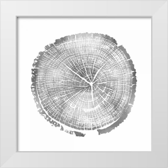 Carson, Danielle 20x20 White Modern Wood Framed Museum Art Print Titled - Timber Silver I