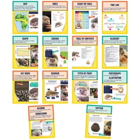 Carson Dellosa Education Mini Posters: Nonfiction Text Features Poster Set, 14 Pieces
