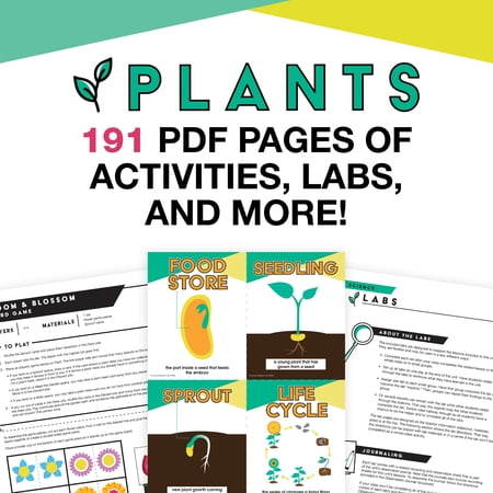 Carson Dellosa In a Flash: Plants Flash Drive (191 pages and 2 ebooks) Grade K-2