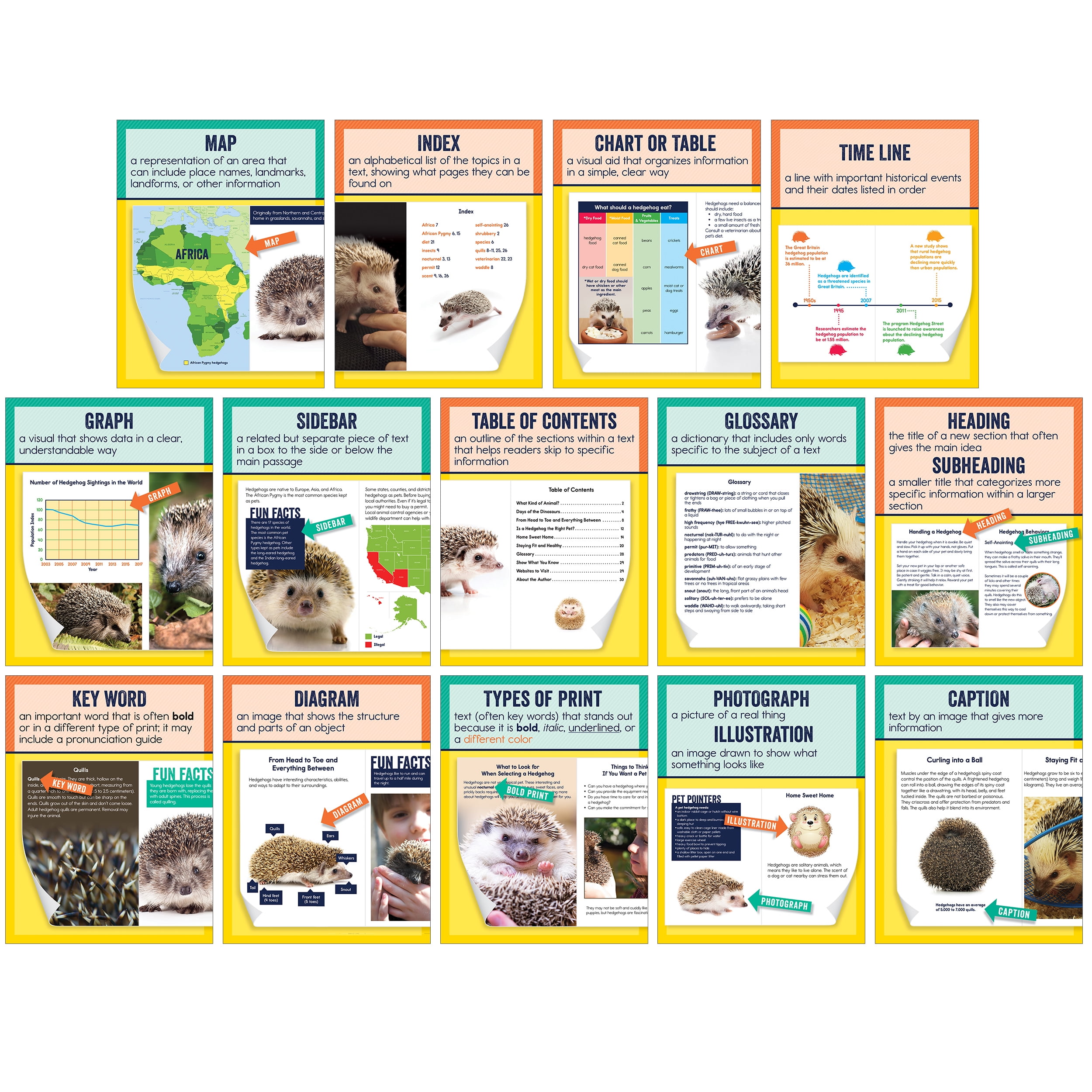 Colorful Nonfiction Text Features Mini Posters Set for Classrooms