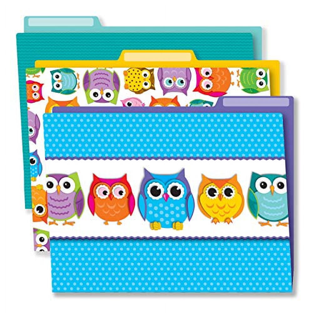 Carson Dellosa Owl Decorative File Folder Setâ€”11.75" x 9.5" Colored File Folders for Filing