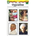 thumbnail image 1 of Carson Dellosa Photographic Learning Cards 845007, 1 of 2