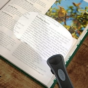 Carson RimFree Rectangular LED Lighted 2x Magnifying Glasses with Rimless Design Portable and Lightweight