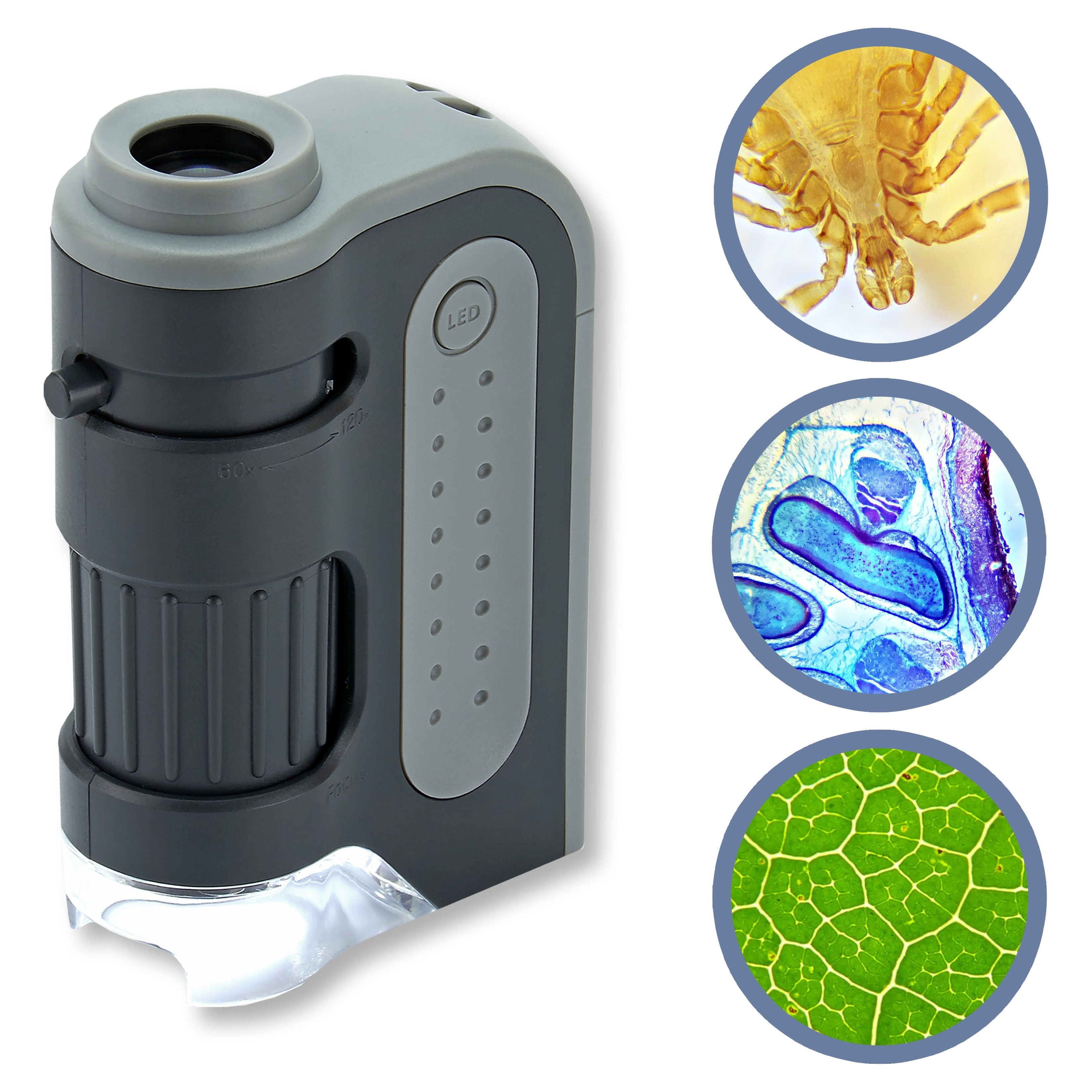 Carson MicroBrite™ Plus 60x - 120x LED Lighted Portable Pocket Microscope for Kids & Adults - image 1 of 9