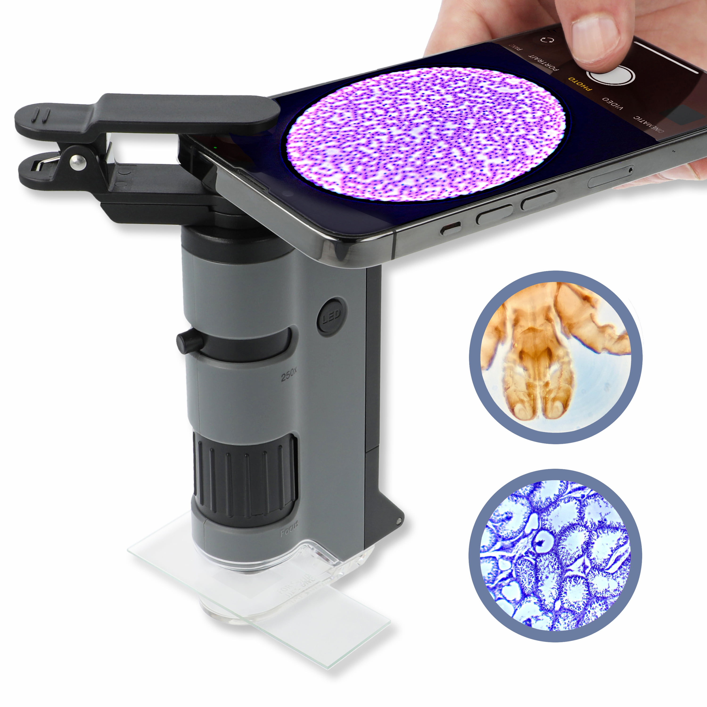 Carson MicroFlip 100x-250x LED Lighted Pocket Microscope with Flip Down  Slide Base, Smartphone Adapter Clip, and UV Flash