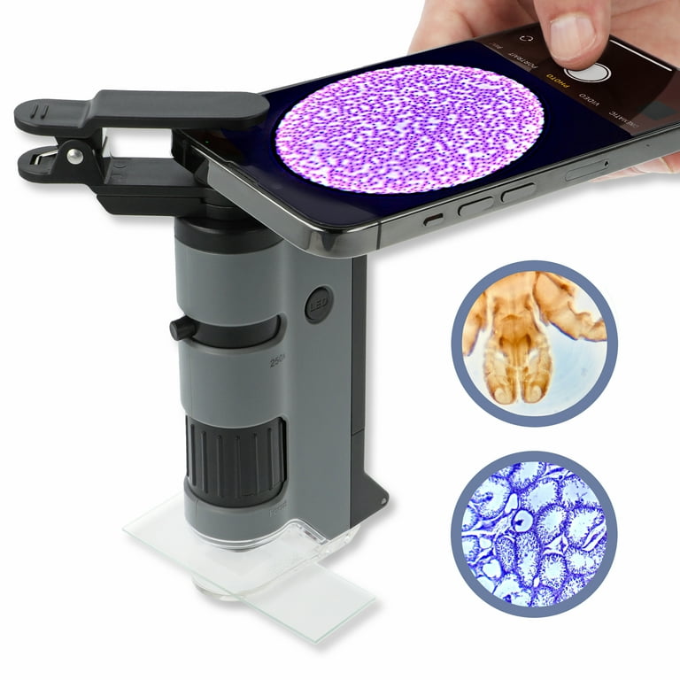 Carson MicroFlip 100x-250x LED Lighted Pocket Microscope with
