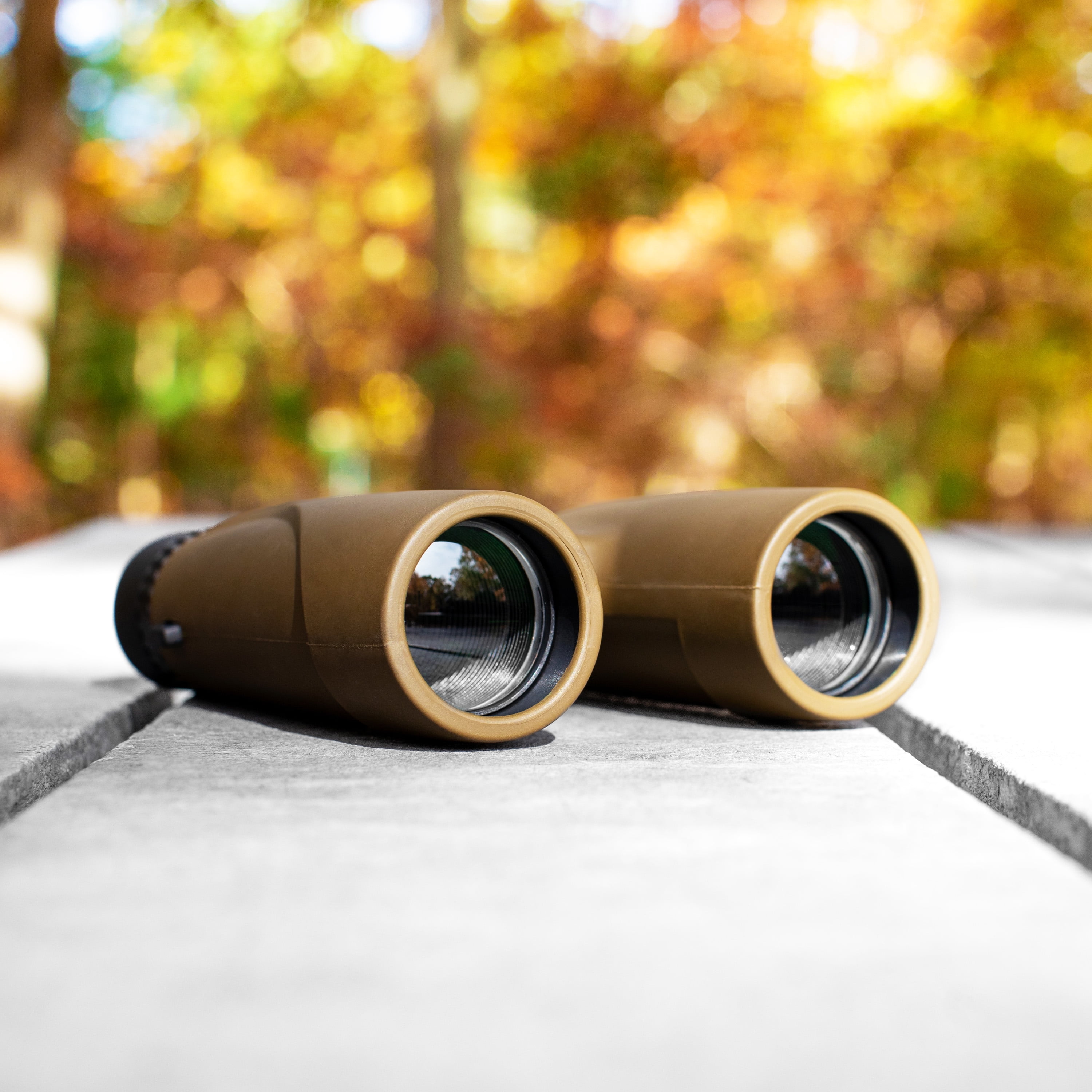 Carson Stinger 12x32mm Compact and Lightweight Binoculars - Includes Pouch, Wrist Strap, and Lens Cloth