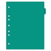 Carstens - Heavy Duty Enteral/Parenteral Plastic Ring Binder Dividers, Side Tab, 1/9 Cut, Tab 2 Position, US Letter, Pack of 10, 8250-03 - Ideal Medical Chart Dividers for 3 Ring Binders