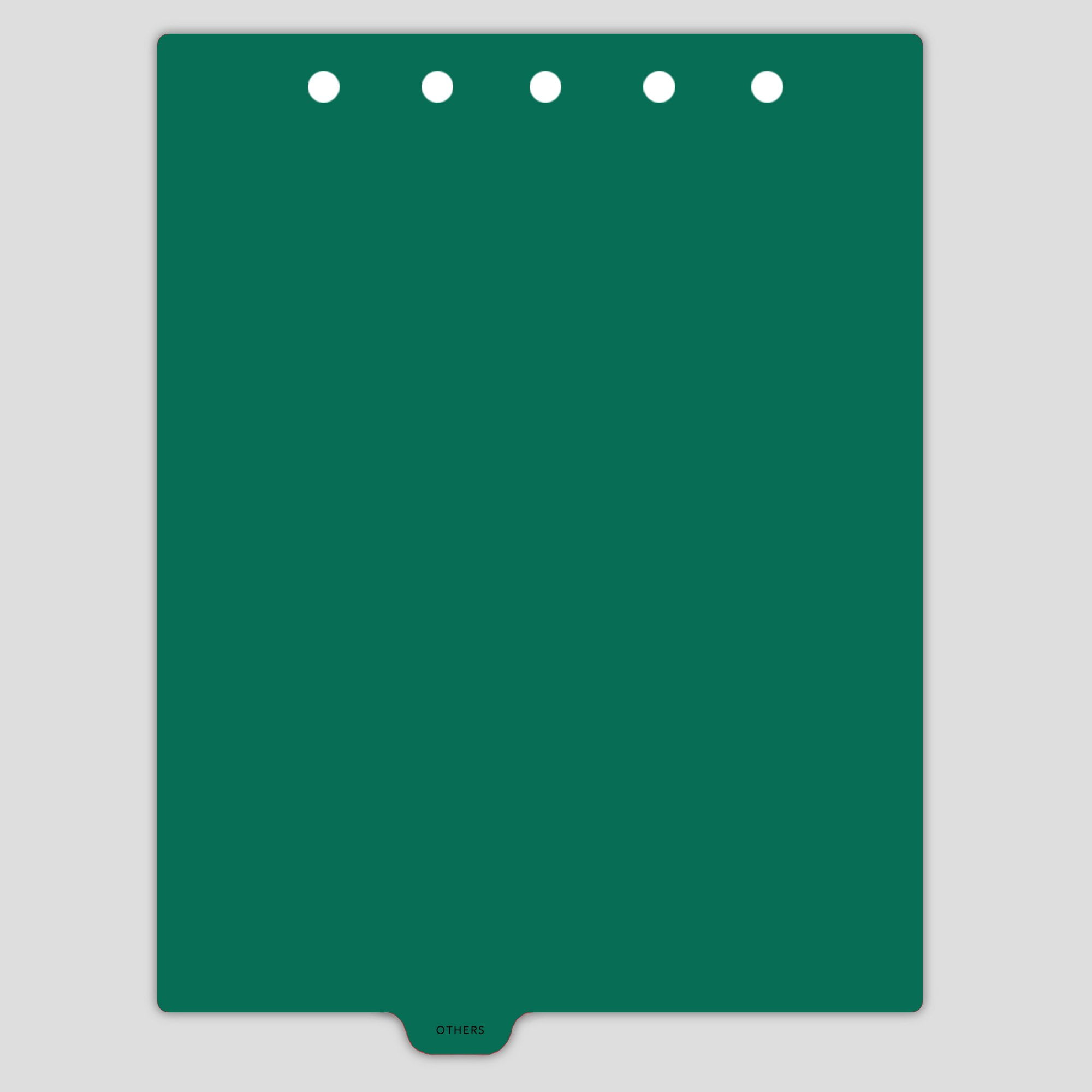 Carstens Heavy Duty Others Plastic Ring Binder Dividers, Bottom Tab