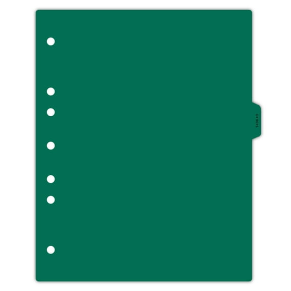 Carstens - Heavy Duty Others Plastic Ring Binder Dividers, Side Tab, 1/9 Cut, Tab 4 Position, US Letter, Pack of 10, (2616-13) - Ideal Medical Chart Dividers for 3 Ring Binders