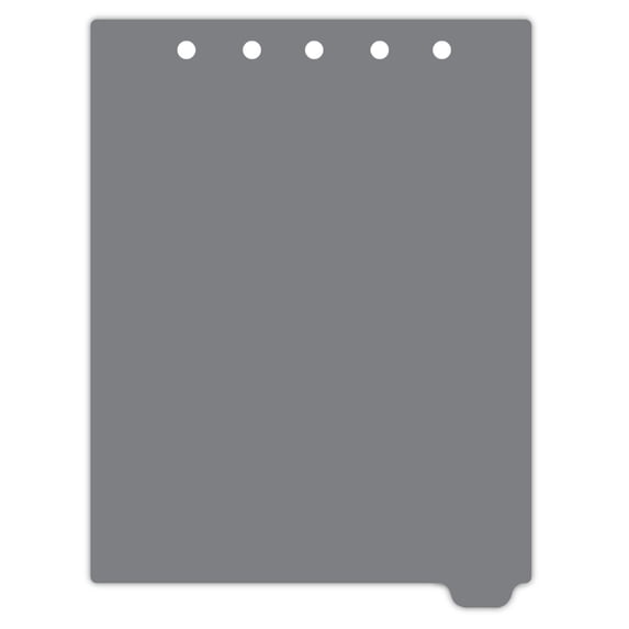 Carstens - Heavy Duty Plastic Ring Binder Dividers, Bottom Tab, 1/9 Cut, Tab 9 Position, US Letter, Gray, Pack of 10, (2619-09) - Ideal Medical Chart Dividers or Index Tabs for 3 Ring Binders