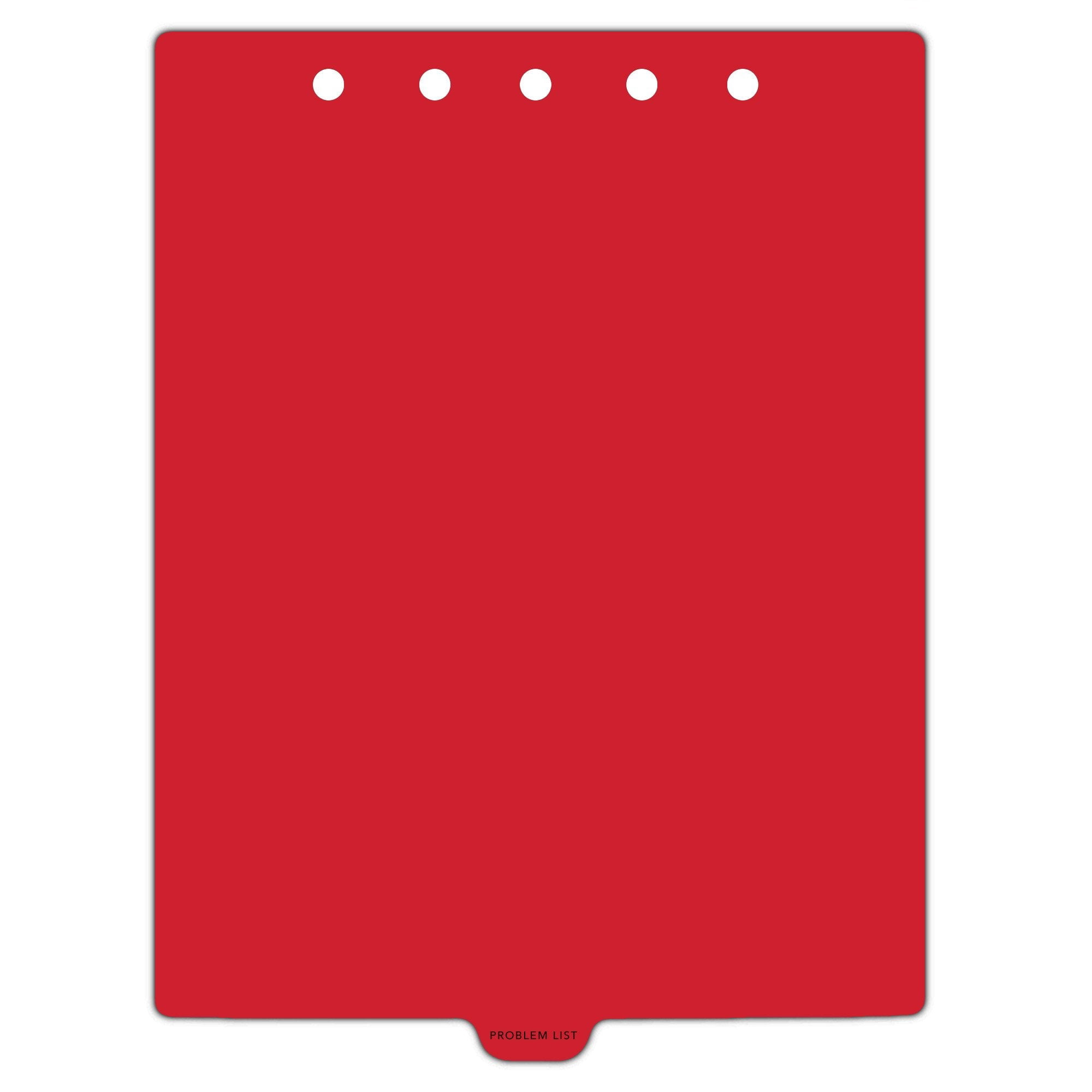 For 3 Ring Binder Carstens Heavy Duty Plastic Hospice Divider Set, 8-Tab, Multi-Color... Month Tabs