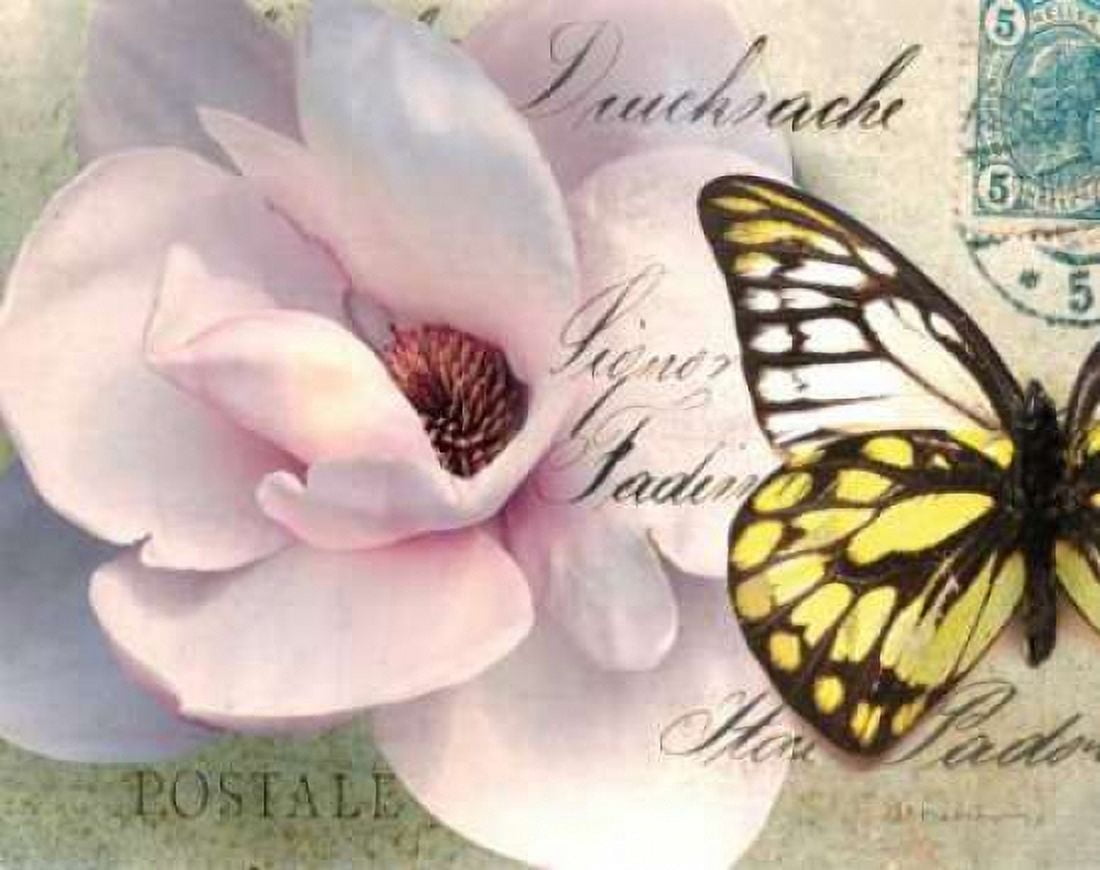 Carte Postale Magnolia II Canvas Art - Amy Melious (22 x 28)