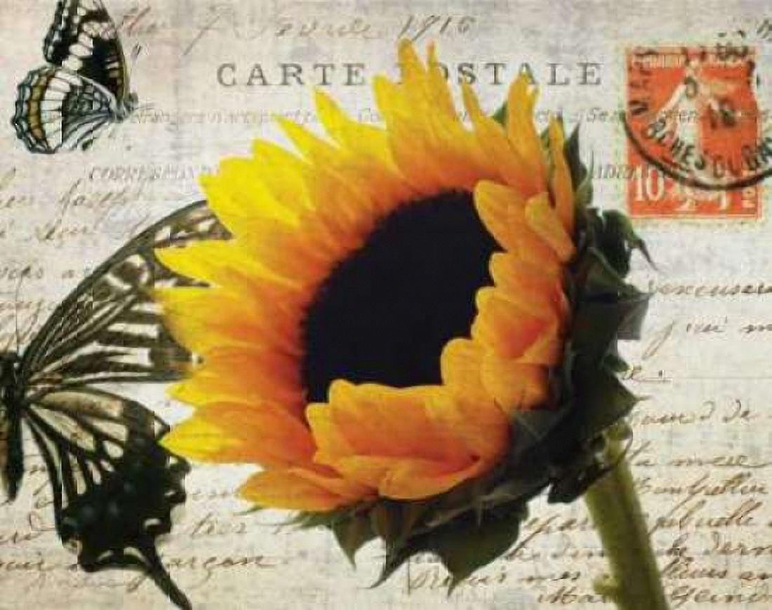 Carte Postale Sunflower Canvas Art - Amy Melious (22 x 28)