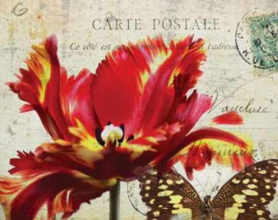 Carte Postale Tulip I Canvas Art - Amy Melious (22 x 28)