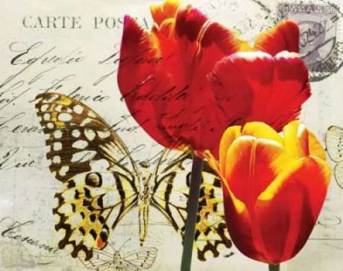 Carte Postale Tulip II Canvas Art - Amy Melious (22 x 28)