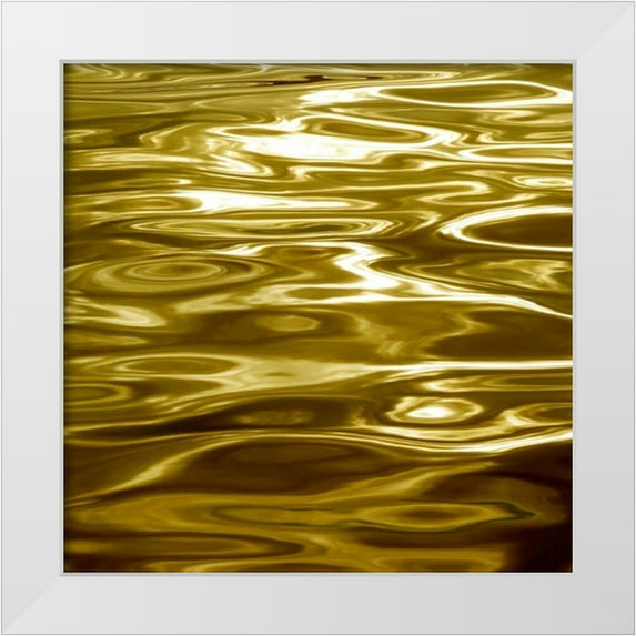 Carter, Charlie 20x20 White Modern Wood Framed Museum Art Print Titled - Liquid Gold