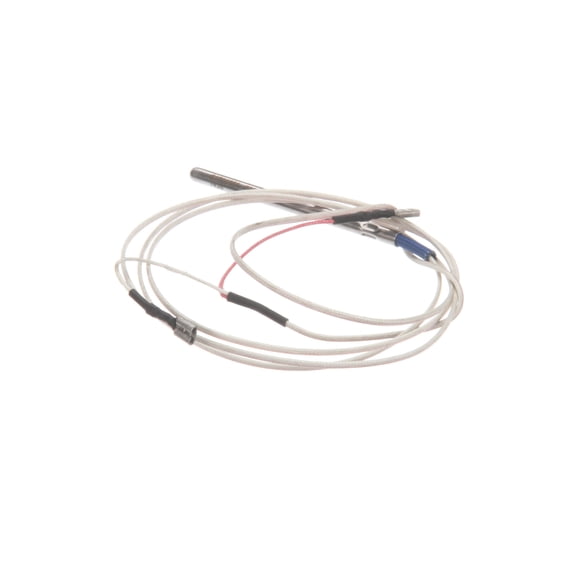 Carter Hoffmann 18616-0102 Rtd Sensor Probe