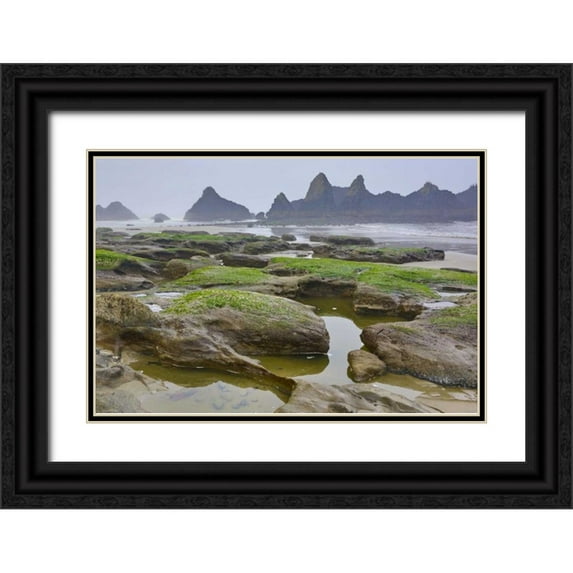 Carter, Jean 24x17 Black Ornate Wood Framed with Double Matting Museum Art Print Titled - Oregon, Seal Rock SP Rocky beach at low tide