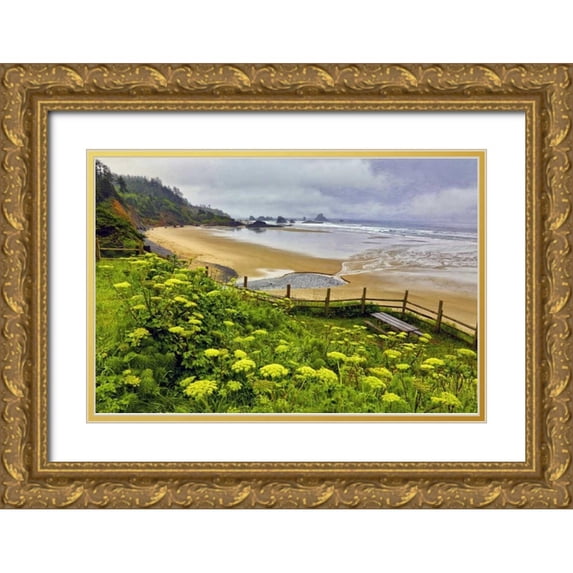 Carter, Jean 24x17 Gold Ornate Wood Framed with Double Matting Museum Art Print Titled - OR, Ecola SP Cow parsnip near Indian Beach
