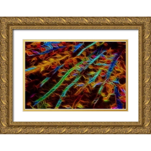 Carter, Jean 32x23 Gold Ornate Wood Framed with Double Matting Museum Art Print Titled - OR, Bandon Abstract of Pacific sea kelp