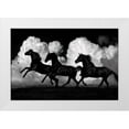 thumbnail image 1 of Carter, Samantha 14x11 White Modern Wood Framed Museum Art Print Titled - Wild Horses, 1 of 4