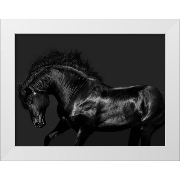 Carter, Samantha 14x12 White Modern Wood Framed Museum Art Print Titled - Black on Black