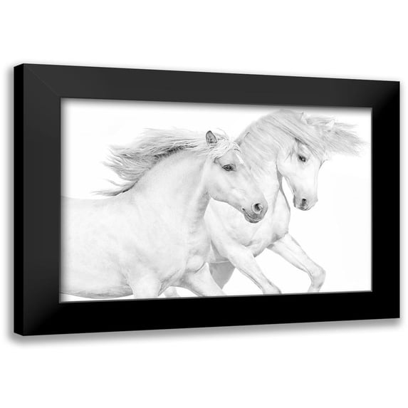Carter, Samantha 18x13 Black Modern Framed Museum Art Print Titled - Duo II