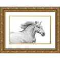 thumbnail image 1 of Carter, Samantha 18x13 Gold Ornate Wood Framed with Double Matting Museum Art Print Titled - Solo I, 1 of 4