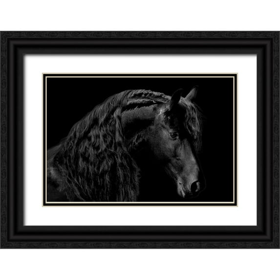 Carter, Samantha 32x23 Black Ornate Wood Framed with Double Matting Museum Art Print Titled - Classic Black II