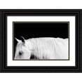 thumbnail image 1 of Carter, Samantha 32x23 Black Ornate Wood Framed with Double Matting Museum Art Print Titled - White on Black I, 1 of 4