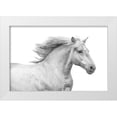 thumbnail image 1 of Carter, Samantha 32x23 White Modern Wood Framed Museum Art Print Titled - Solo I, 1 of 4
