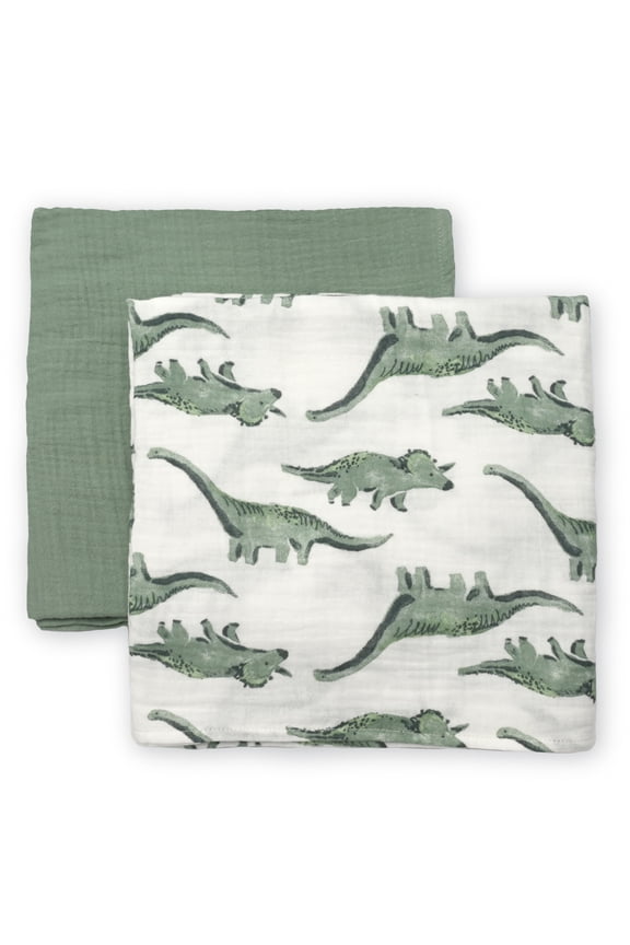 Infant Boy Swaddle, 2 Packs, One Size