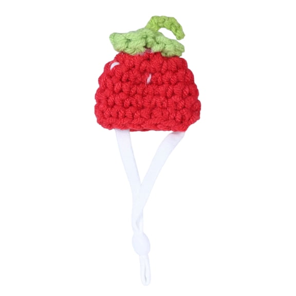 Cartoon Animal Crochet Hat for Small Pet Lovely Small Animal Costume Hat for Halloween Birthday Party Hat Bird Photo Hat