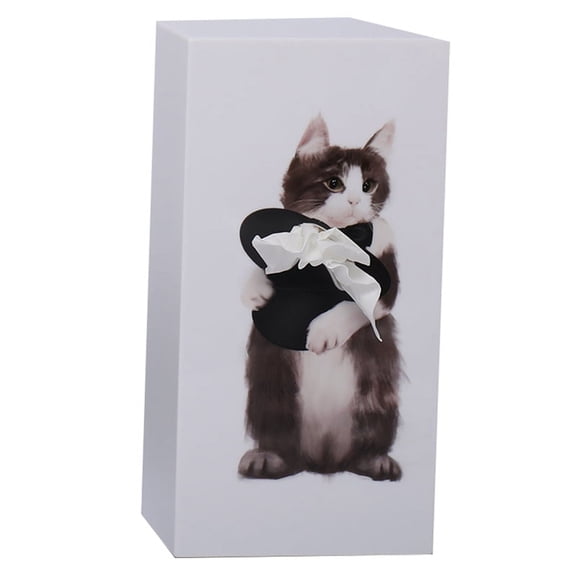 Cartoon Animal Tissue Box, Creatives Tissue Box Desktop Decoration Napkin Box, Bathroom Living Room Tissue C,1 x Tissue Box,Photo Color