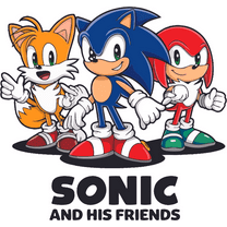 Service with the Speed of Sound Hedgehog His Friends Adventurous Quote Holiday Gift Sticker Wall Stickers Art Decal Decoration Girls Boys Birthday - Size: 18 In(W) x 20 In(H)