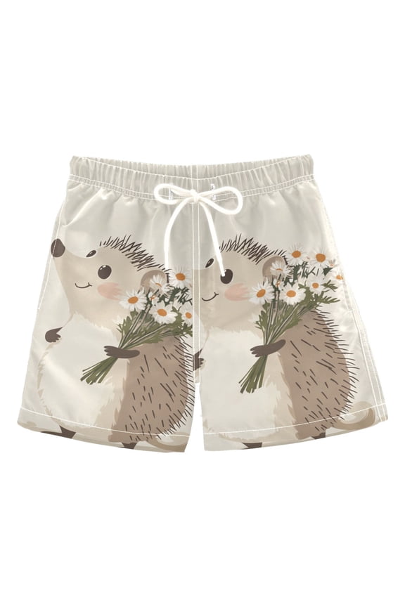 Cartoon Gray Hedgehog Boys Swim Trunks Quick Dry Boy Swim Shorts for 3-14 Years