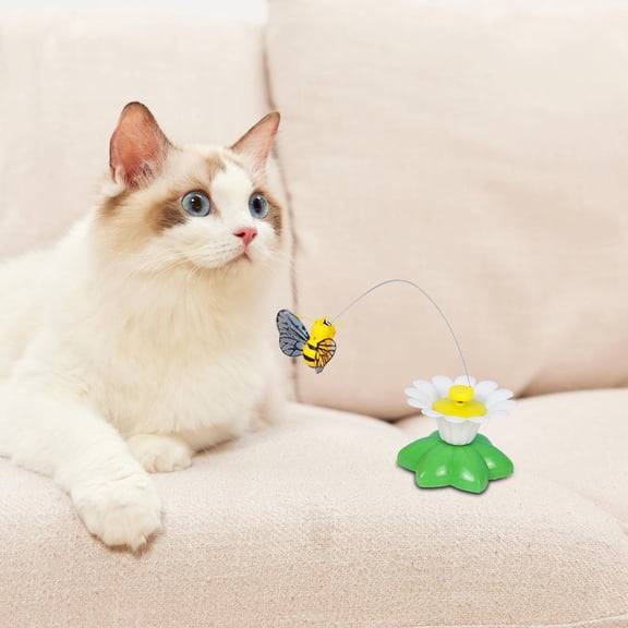 Cartoon Interactive Cat Toys Rotating Supplies Exercise Toys Accessories Catcher