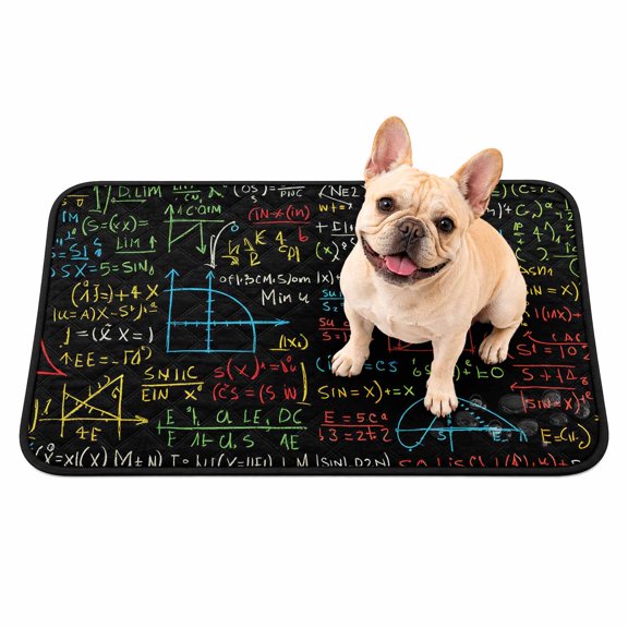 Cartoon Math Washable Pee Pads for Dogs, Abstract Number Chart Pattern Geometric Reusable Puppy Pads Waterproof Pet Mat, Absorbent Dog Pee Pads for Crate Pet Training Whelping Playpen Mats 24"x18"