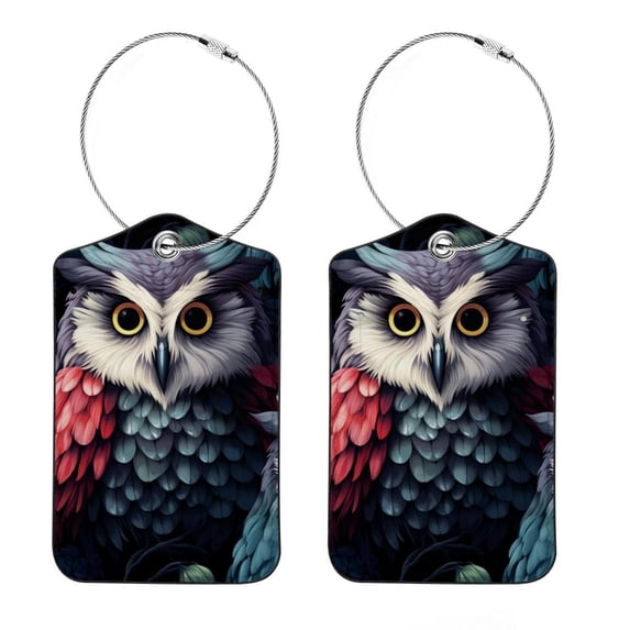 Cartoon Owl Luggage Tag, Travel Tags, Handbag Tag - Square PU Leather 2 Pack with Privacy Cover and Stainless Steel Ring - Suitable for Travel, Backpack, Handbag [Amazon Approved]