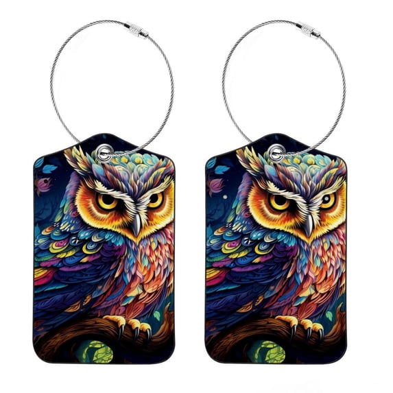 Cartoon Owl Square PU Leather Luggage Tags, 2 Pack, with Privacy Cover and Stainless Steel Ring - Suitable for Travel, Backpack, Handbag - Bag Tags, Handbag Tags