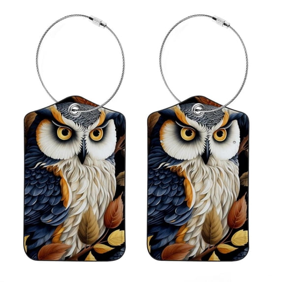 Cartoon Owl Square PU Leather Luggage Tags, 2 Pack, with Privacy Cover and Stainless Steel Ring - Suitable for Travel, Backpack, Handbag - Bag Tags, Handbag Tags