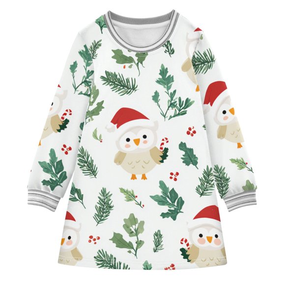 Cartoon Owls Leaves Berries Christmas Long-sleeved Dress A-line One-Piece Dress for 2-8 Years Casual Party 2T