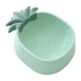 thumbnail image 1 of Cartoon Pineapple Strawberry Pet Bowl Style Spill Proof Cat And Dog Feeding Dish With Large 800ml Capacity, 1 of 8
